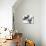 Art House II-Jennifer Goldberger-Stretched Canvas displayed on a wall