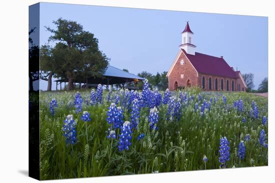 Art Methodist Church and Bluebonnets Near Mason, Texas, USA-Larry Ditto-Premier Image Canvas