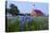Art Methodist Church and Bluebonnets Near Mason, Texas, USA-Larry Ditto-Premier Image Canvas