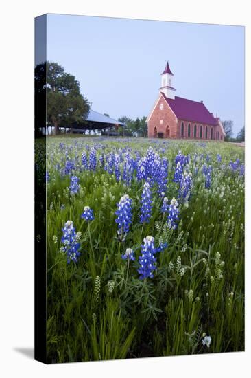 Art Methodist Church and Bluebonnets Near Mason, Texas, USA-Larry Ditto-Premier Image Canvas