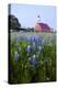 Art Methodist Church and Bluebonnets Near Mason, Texas, USA-Larry Ditto-Premier Image Canvas