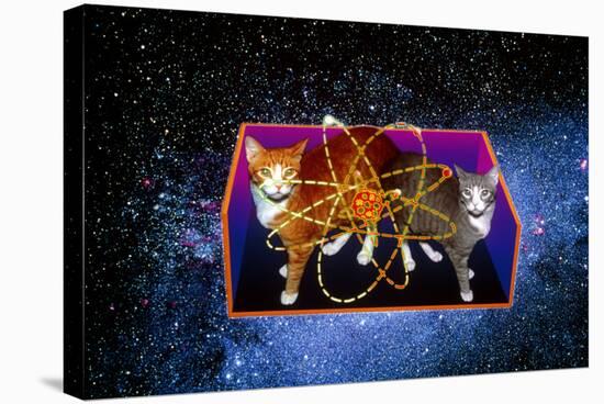 Art of Schrodinger's Cat Experiment-Volker Steger-Premier Image Canvas