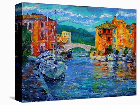 Art Painting of Port Grimaud in France-DenKuvaiev-Premier Image Canvas