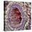 Artery SEM-Steve Gschmeissner-Premier Image Canvas