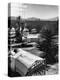 Arthritis Patients Being Tended to by Nurses as They Undergo Sunbathing Treatment at Desert Clinic-Alfred Eisenstaedt-Premier Image Canvas