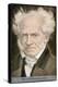 Arthur Schopenhauer German Philosopher-null-Stretched Canvas