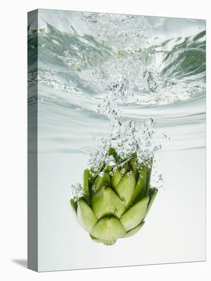 Artichoke in Water-Biwa-Premier Image Canvas