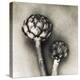 Artichoke-Jamie Cook-Premier Image Canvas