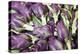 Artichokes in Mass at Venice Farmers Market, Italy-Terry Eggers-Premier Image Canvas