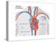 Artificial Pacemaker-Encyclopaedia Britannica-Stretched Canvas