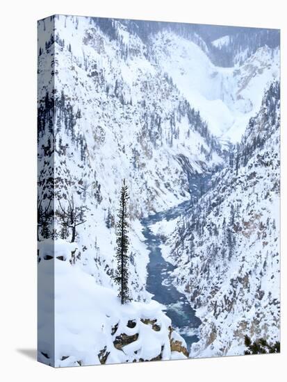 Artists Point of Grand Canyon Yellowstone in Winter, Yellowstone National Park, UNESCO World Herita-Kimberly Walker-Premier Image Canvas