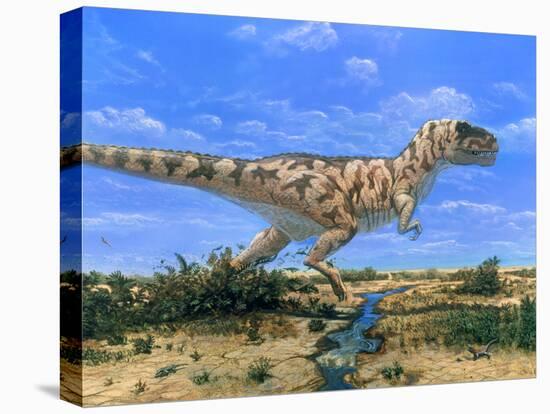 Artwork of a Tyrannosaurus Rex Dinosaur-Chris Butler-Premier Image Canvas