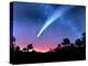 Artwork of Comet Hale-Bopp Over a Tree Landscape-Chris Butler-Premier Image Canvas