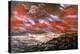 Artwork of Lava Flows on the Surface of Venus-Ludek Pesek-Premier Image Canvas