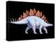 Artwork of Stegosaurus Dinosaur, Stegosaurus Sp.-Joe Tucciarone-Premier Image Canvas