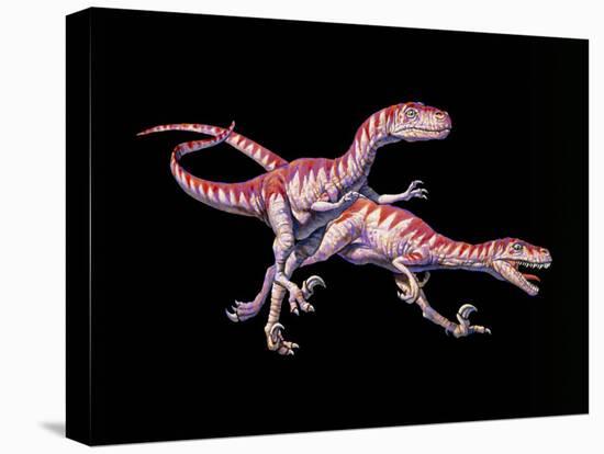 Artwork of Two Deinonychus Dinosaurs-Joe Tucciarone-Premier Image Canvas