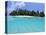 Asdu Island, North Male Atoll, Maldives, Indian Ocean-Sergio Pitamitz-Premier Image Canvas