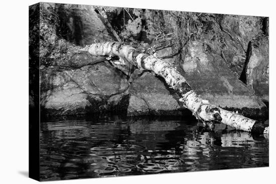 Ash River 11-Gordon Semmens-Premier Image Canvas