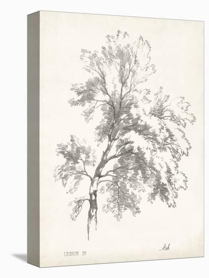 Ash Tree Study-null-Stretched Canvas