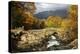 Ashness Bridge in Autumn Looking Towards Derwent-null-Premier Image Canvas