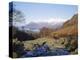 Ashness Bridge, Skiddaw in the Background, Lake District National Park, Cumbria, England, UK-Roy Rainford-Premier Image Canvas