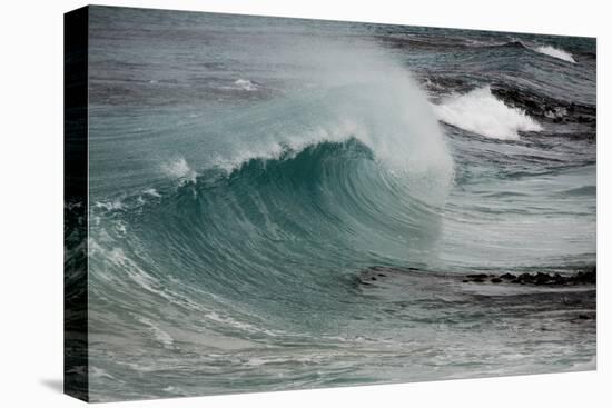 Asia, Australia Tasmania Friendly Beach Breakers-John Ford-Premier Image Canvas