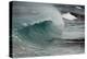 Asia, Australia Tasmania Friendly Beach Breakers-John Ford-Premier Image Canvas