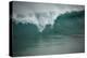 Asia, Australia Tasmania Friendly Beach Breakers-John Ford-Premier Image Canvas