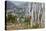 Asia, Bhutan, Prayer Flags Overlooking Thimphu-Ellen Goff-Premier Image Canvas