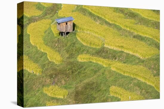 Asia, Bhutan, Trongsa Area. Rice Paddies-Ellen Goff-Premier Image Canvas