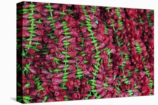 Asia, India, Calcutta. Hibiscus garlands in the flower market in Calcutta.-Kymri Wilt-Premier Image Canvas