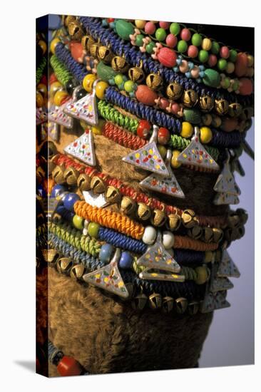 Asia, India, Pushkar. Camels necklaces, Pushkar Camel Festival.-Claudia Adams-Premier Image Canvas