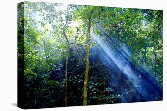 Asia, Indonesia, Sulawesi. Sunburst Lights Up a Steamy Rainforest-David Slater-Premier Image Canvas