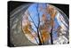 Asia, Japan, Honshu, Yokohama, Autumn Trees-Christian Kober-Premier Image Canvas