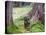 Asia, Japan; Kyoto, Sanzen in Temple (986), Stone Statue of a Monk Praying-Christian Kober-Premier Image Canvas