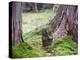 Asia, Japan; Kyoto, Sanzen in Temple (986), Stone Statue of a Monk Praying-Christian Kober-Premier Image Canvas