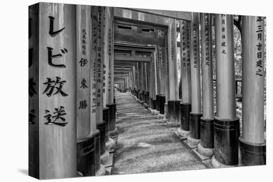 Asia, Japan, Kyoto. Torii Gates at Fushimi Inari-Taisha Shrine-Dennis Flaherty-Premier Image Canvas