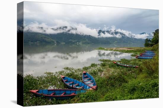 Asia, Nepal, Pokhara. Boats in the water lilies on Phewa Lake.-Janell Davidson-Premier Image Canvas