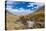 Asia, Western Mongolia, Bayan Olgii Province, Gashuun Suhayt. River Valley-Emily Wilson-Premier Image Canvas