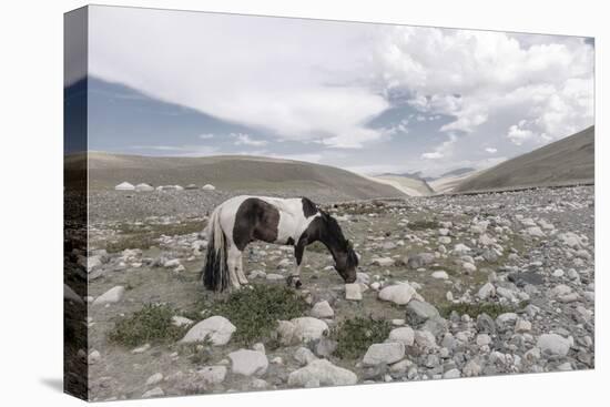 Asia, Western Mongolia, Khovd Province, Gashuun Suhayt. River Valley-Emily Wilson-Premier Image Canvas