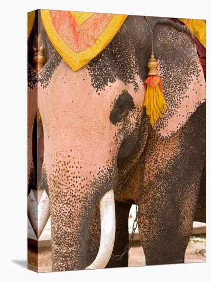 Asian Elephants Transportation, Ayuthaya, Thailand-Gavriel Jecan-Premier Image Canvas