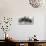 Asian Mist-Natasha Barnes-Stretched Canvas displayed on a wall