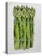 Asparagus, 2013-Jennifer Abbott-Premier Image Canvas