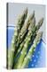 Asparagus Spears-Jon Stokes-Premier Image Canvas