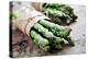 Asparagus-Molka-Premier Image Canvas