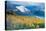 Aspen and Snow-Capped Peaks, La Sal Mountains, Utah-Tom Till-Premier Image Canvas