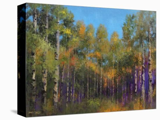 Aspen Autumn-Thomas Stotts-Stretched Canvas