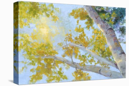 Aspen Canopy-Nanette Oleson-Stretched Canvas