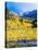 Aspen Colorado Landscape-duallogic-Premier Image Canvas