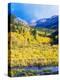 Aspen Colorado Landscape-duallogic-Premier Image Canvas